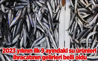2023 yılının ilk 9 ayındaki su ürünleri ihracatının gelirleri belli oldu