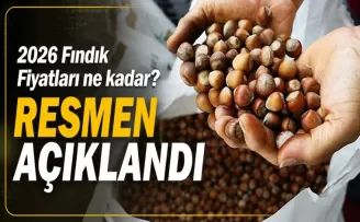 2026 Fındık Fiyatları ne kadar? Resmen açıklandı