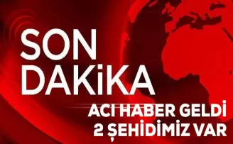 Acı Haber geldi... 2 Şehidimiz var!