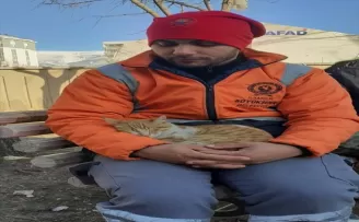 Afet bölgesindeki ekipler yıkıntılar arasındaki kediye sahip çıktı