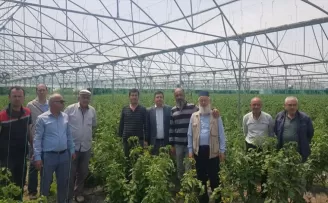 Alaçam Kaymakamı Zaman’dan üreticilere ziyaret