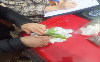 Amasya’da 12 bitki türünü Avrupa’ya kaçırmak isteyen 2 Slovakyalı yakalandı