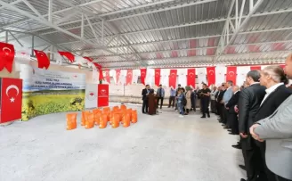 Amasya'da çiftçilere kanola tohumu dağıtıldı