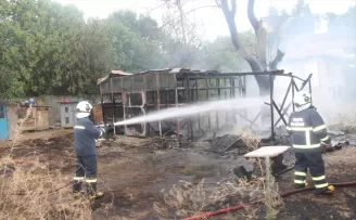 Amasya’da çıkan yangında 50 güvercin telef oldu