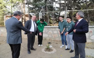 Amasya’da tıp fakültesi öğrencileri fidan dikti