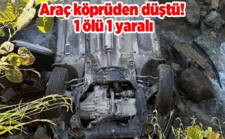Araç köprüden düştü! 1 ölü 1 yaralı