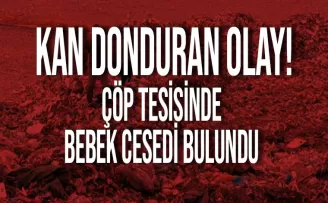 Araklı'da çöp tesisinde bebek cesedi bulundu