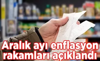 Aralık ayı enflasyon rakamları açıklandı