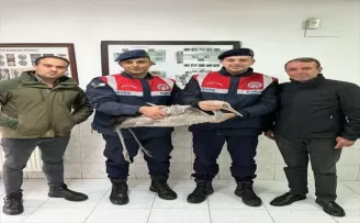 Artvin'de yaralı bulunan turna kuşu tedavi altına alındı
