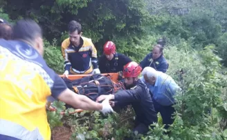 Artvin’de yayla yolunda uçuruma yuvarlanan kamyonetin sürücüsü öldü