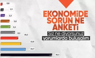 ASAL Araştırma’dan ’Türkiye ekonomisinin en önemli sorunu nedir’ anketi