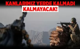 Kanlarımız yerde kalmadı kalmayacak!