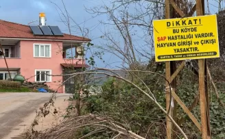 Bartın’da 12 köyde şap karantinası başlatıldı