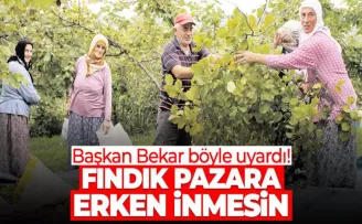Başkan Bekar böyle uyardı: “Fındık pazara erken inmesin“