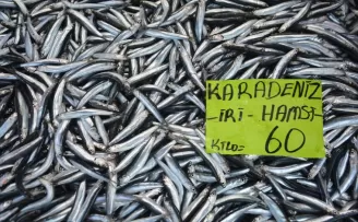 Batı Karadeniz'de hamsi tezgahların gözdesi oldu