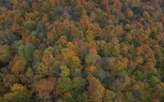 Batı Karadeniz'de sonbahar renkleri arasında yolculuk