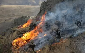 Bayburt'ta dağlık alanda çıkan örtü yangınına müdahale ediliyor