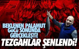 Beklenen palamut göçü sonunda gerçekleşti