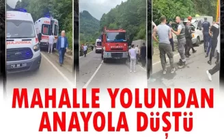 Beşikdüzü-Şalpazarı karayoluna uçtu