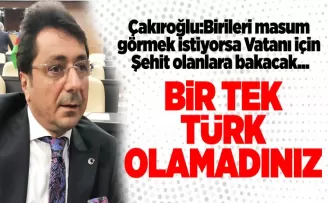 Bir Tek Türk Olamadınız!..