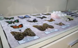 Bolu’da okul bünyesinde açılan müzeyle çocuklara doğa bilinci aşılanıyor