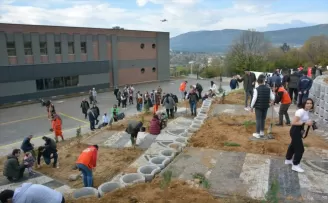 Bolu’da orman yangınında zarar gören alana 5 bin fidan dikildi