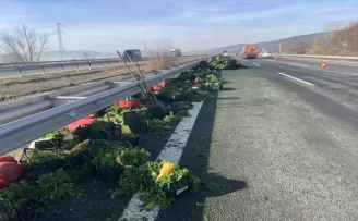 Bolu'da savrulan tırdan otoyola dökülen sebzeler ulaşımı aksattı