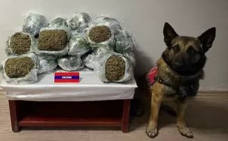 Bolu'da yolcu otobüsünde 20 kilo 500 gram skunk ele geçirildi
