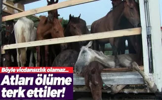 Böyle vicdansızlık olamaz...  