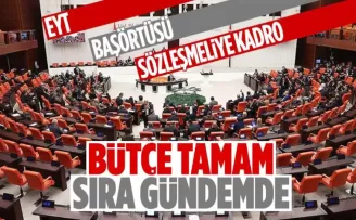 Bu yıl gözler Meclis'te olacak