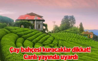 Çay bahçesi kuracaklar dikkat! Canlı yayında uyardı