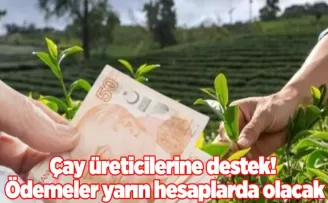 Çay üreticilerine destek! Ödemeler yarın hesaplarda olacak