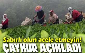 ÇAYKUR’dan Önemli Açıklama: “Çayın En Güzel Bekleme Yeri Bahçedir“