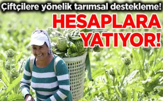 Çiftçilere yönelik tarımsal destekleme!
