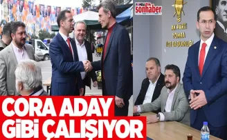 Cora aday gibi çalışıyor!