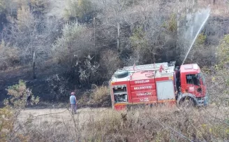 Çorum’da çıkan yangında 10 dekar ceviz bahçesi zarar gördü