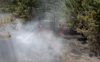 Çorum’da ormanlık alanda çıkan örtü yangını söndürüldü