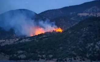 Çorum’da ormanlık alanda yangın çıktı