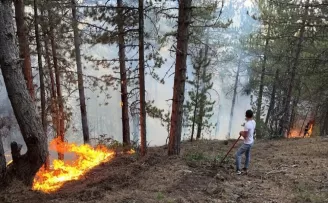 Çorum'un Bayat ilçesindeki orman yangınına müdahale ediliyor