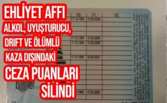 Cumhurbaşkanı Erdoğan'dan ehliyet ve ceza affı müjdesi