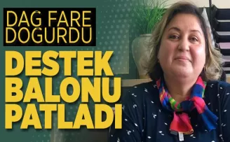Dağ fare doğurdu destek balonu patladı