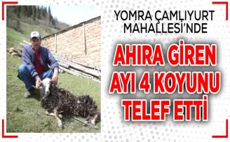 DEHŞETİ YAŞADI!   