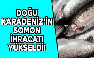 Doğu Karadeniz’in somon ihracatı yükseldi!