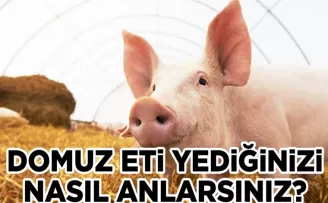 Domuz eti yediğinizi nasıl anlarsınız! Bu üç detaya dikkat
