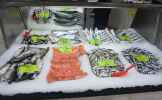 Düzce’de av yasağı ve olumsuz hava şartları balık fiyatlarını yükseltti