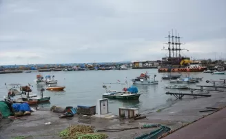 Düzce'de bereketiyle yüz güldüren palamut sezonu sona erdi