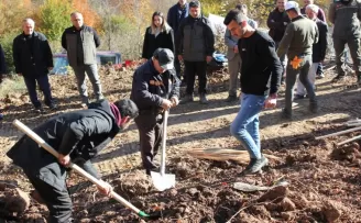 Düzce'de fidanlar toprakla buluşturuldu