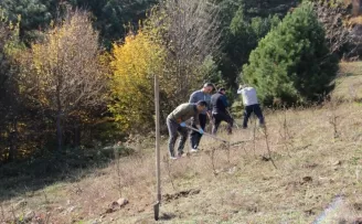 Düzce'de, yaban hayvanları için yabani meyve fidanları dikildi