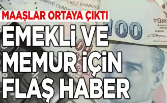 Emekli ve memur flaş haber: Ocak’ta alacakları maaş ortaya çıktı