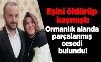 Eşini öldürüp kaçmıştı, ormanlık alanda parçalanmış cesedi bulundu!